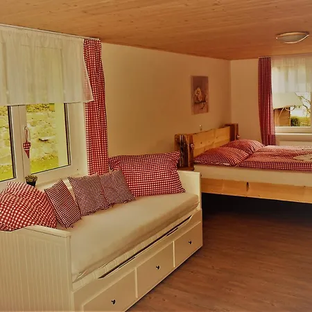 U Lipy Guest house 3*